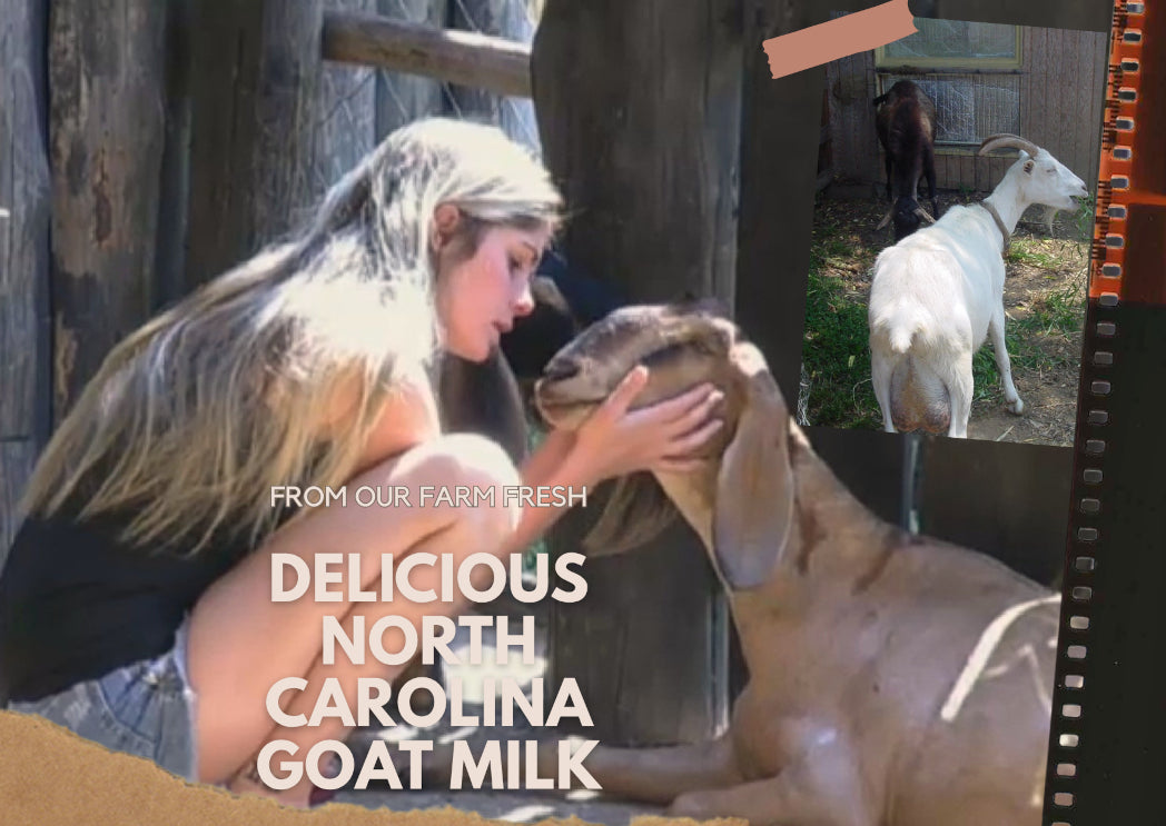 Goat's Milk and Farm Fresh Milk North Carolina 
