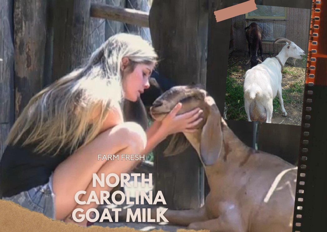 Farm Goat's milk from Goat's 