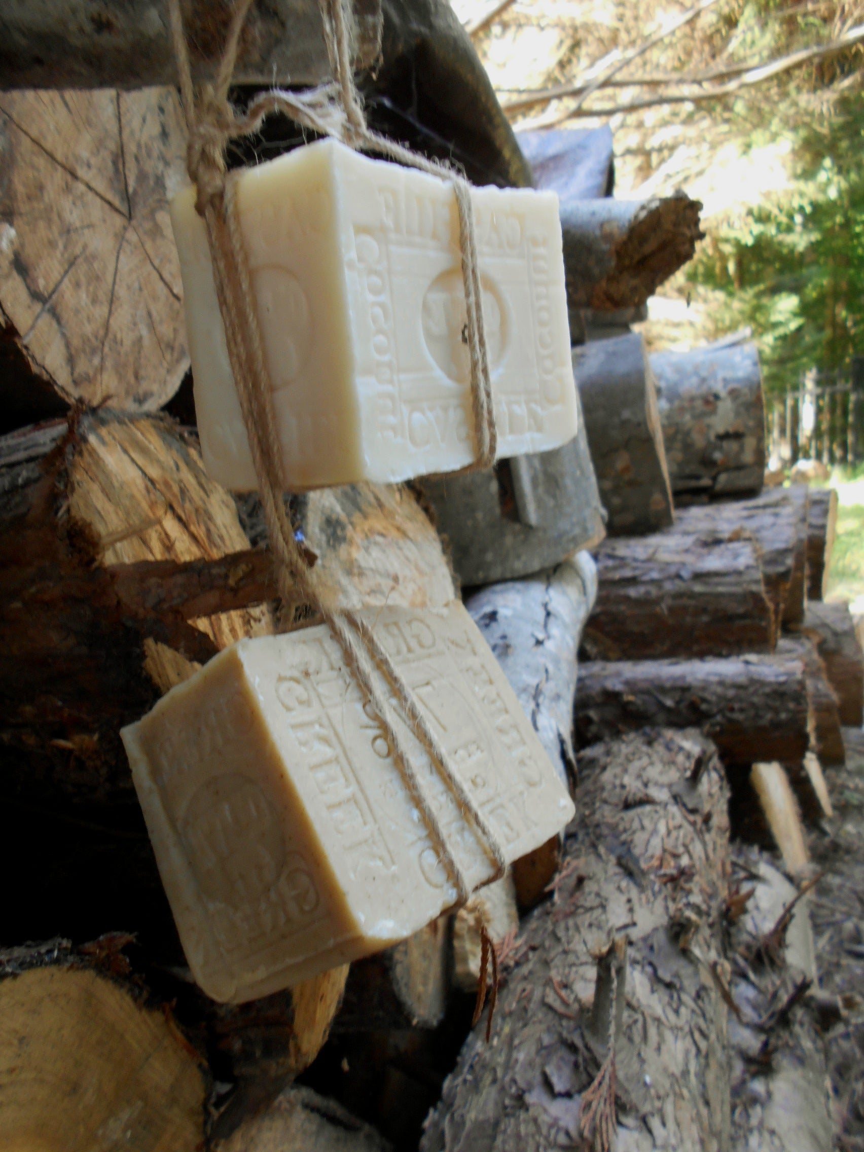 Bars of soap hanging on a wooden log with a natural outdoor background