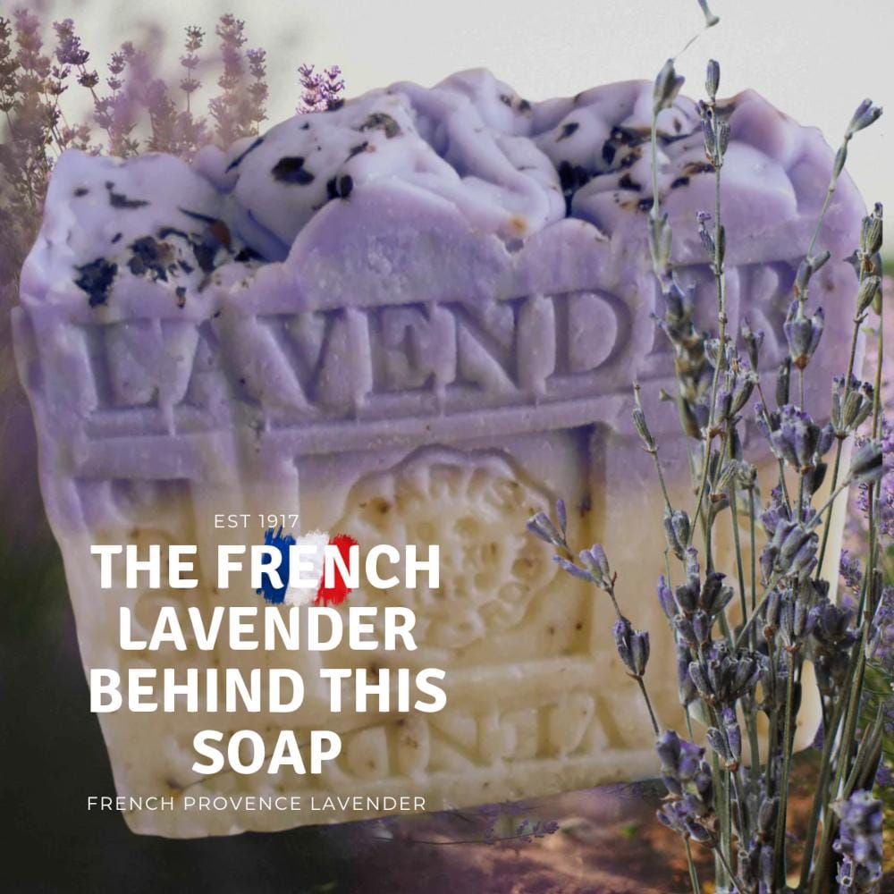 Handcrafted Natural French Provence Lavender Rose Soap