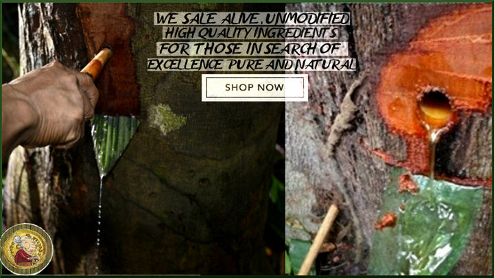 Amazon Rainforest Copaiba Soap Ingredients  from The Rainforest Brazil